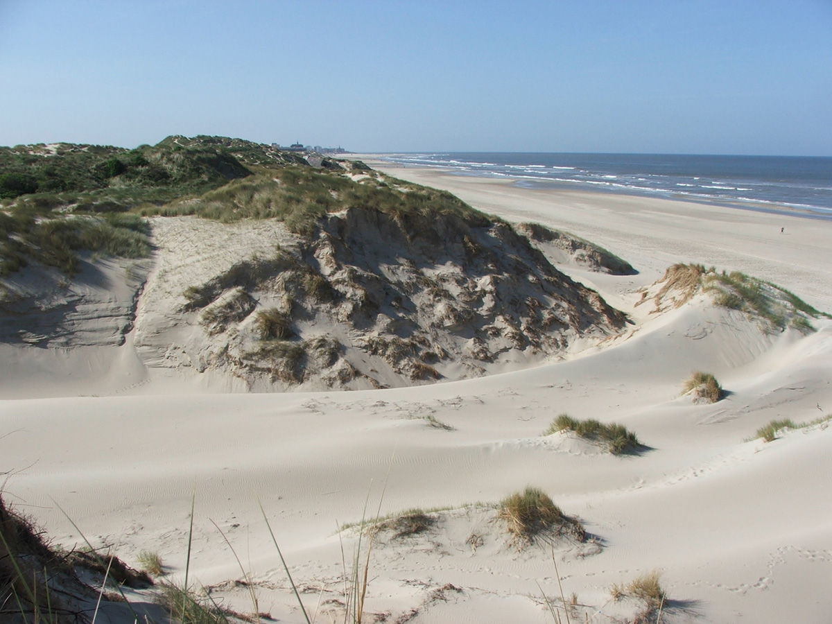 Campings aux alentours de : Merlimont