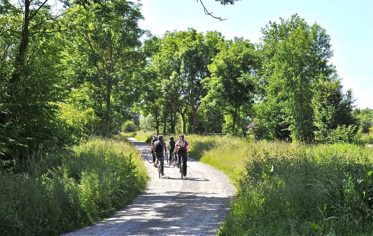 Promenade à vélo dans la nature